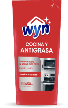 Wyn Recarga Antigrasa 450ml